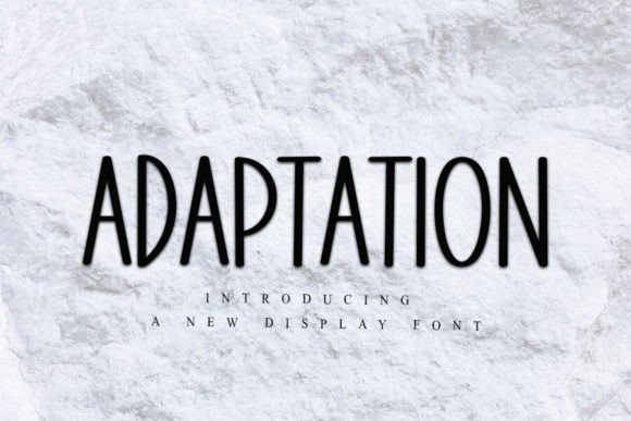 Adaptation: The Display Font That Elevates Digital Campaigns