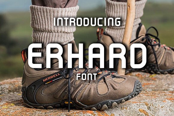 Erhard: A Designer's Honest Review for Real-World Branding